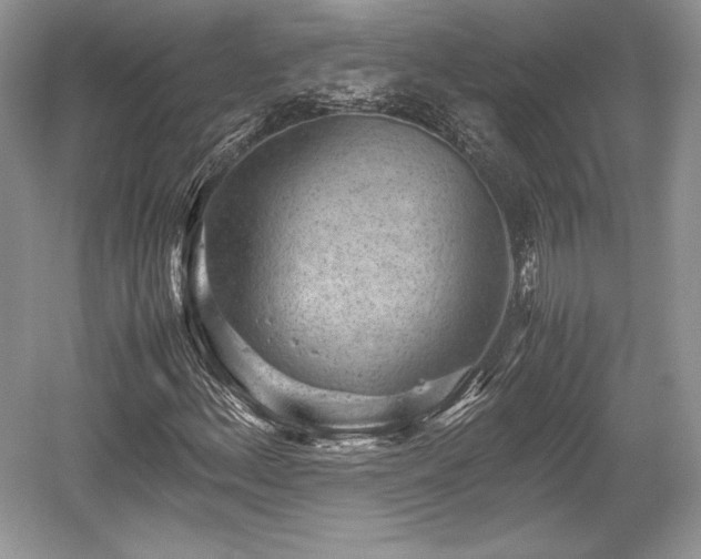 X0000059091156200510101137