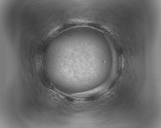 X0000059091157200510101137