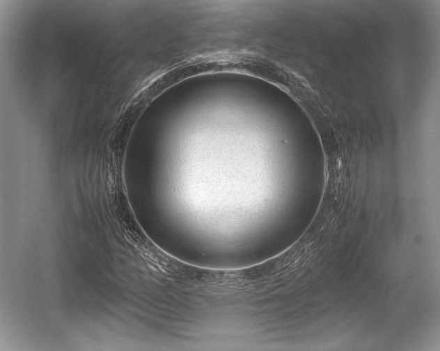 X0000059091158200510101137