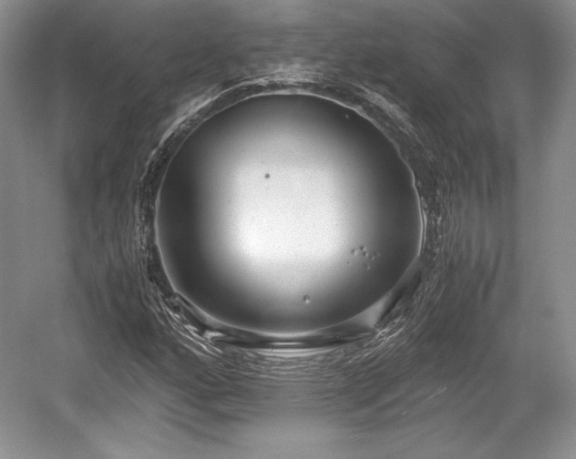 X0000059091160200510101137