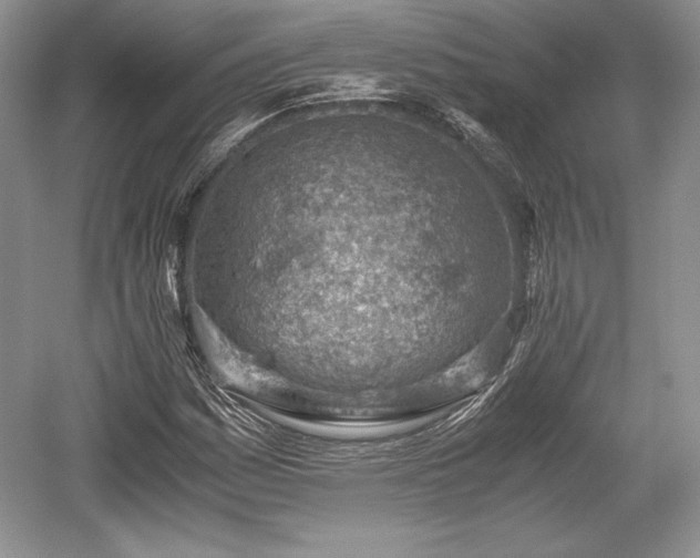 X0000059091161200510101137