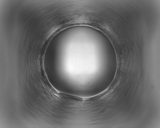 X0000059091162200510101137