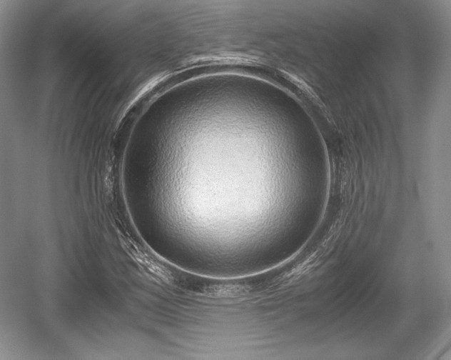 X0000059091163200510101137