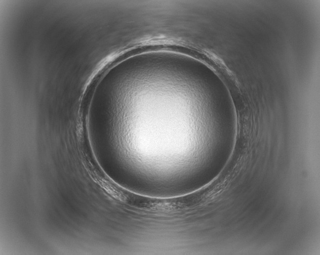 X0000059091167200510101137