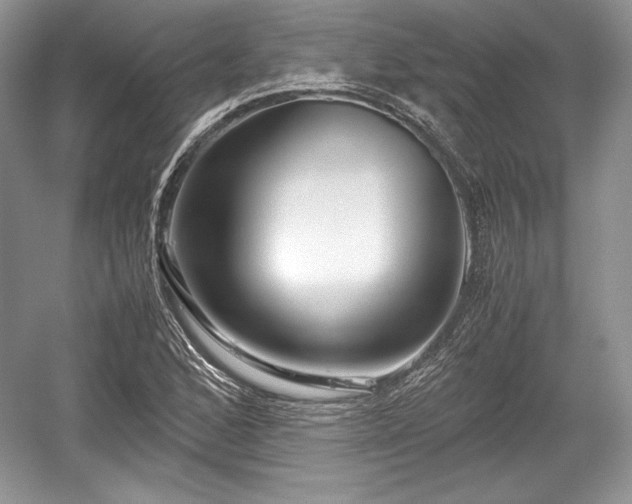 X0000059091168200510101137