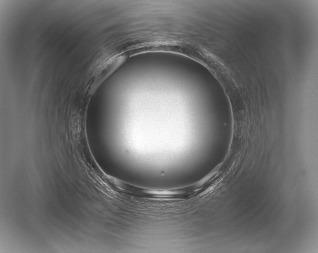 X0000059091169200510101137