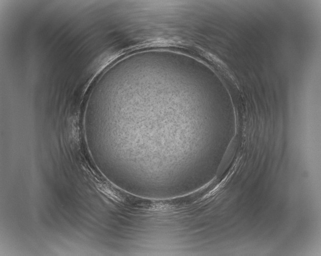 X0000059091170200510101137