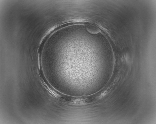 X0000059091171200510101137