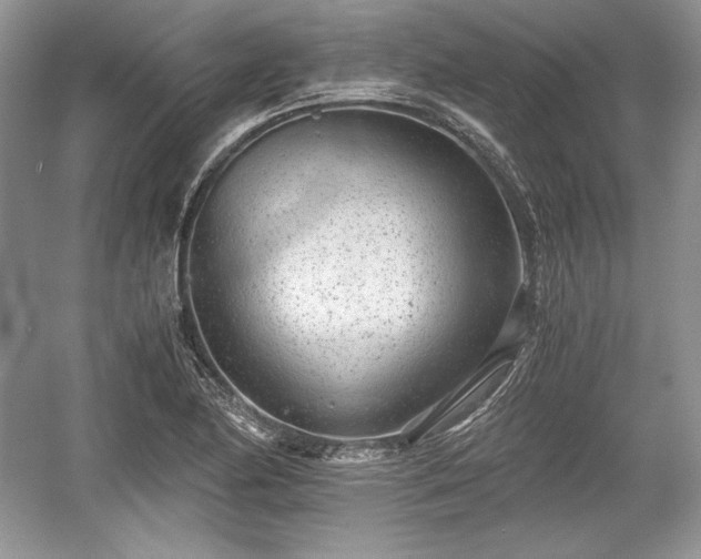 X0000059091174200510101137