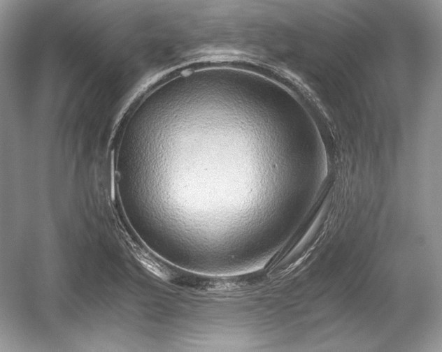 X0000059091175200510101137