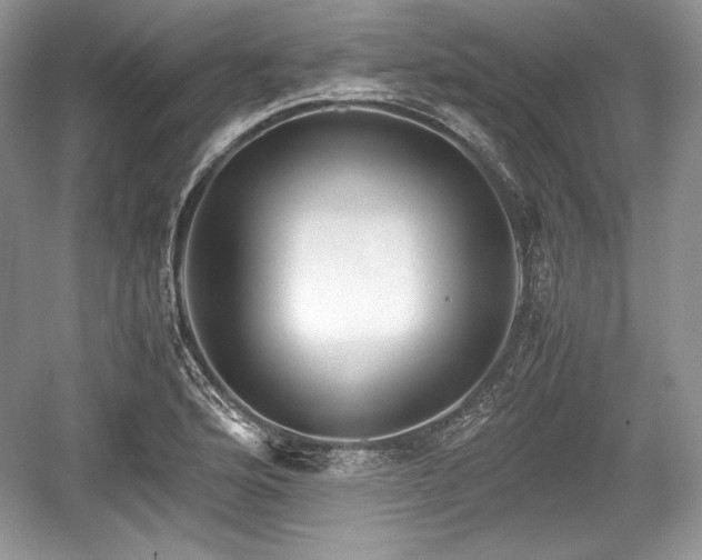 X0000059091176200510101136