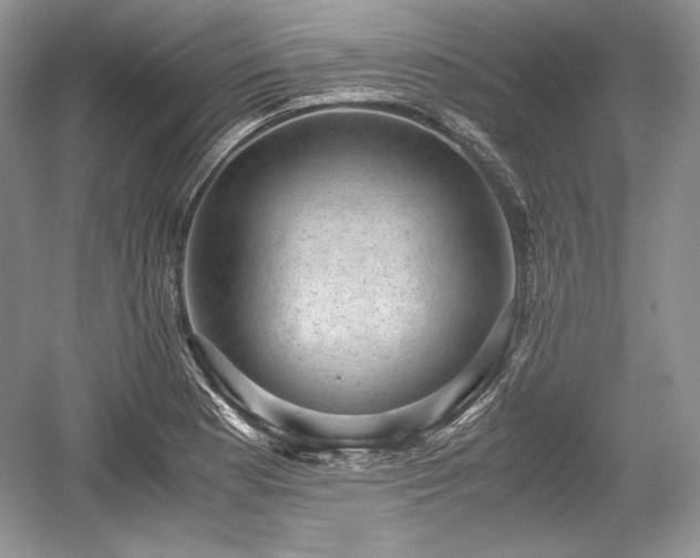 X0000059091177200510101136