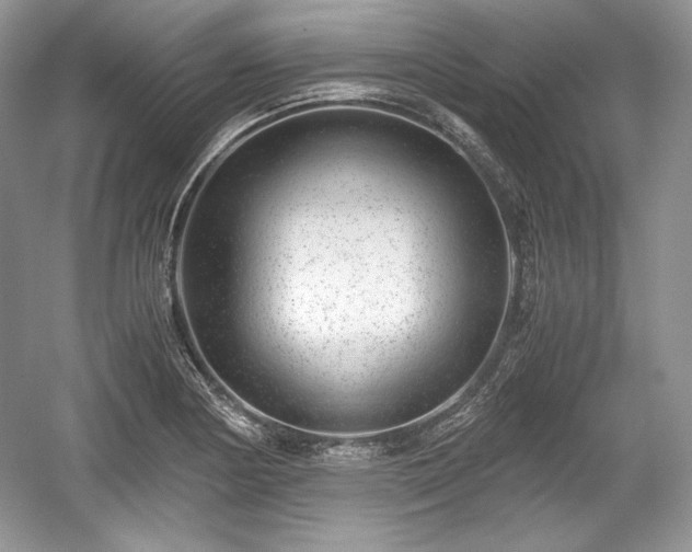 X0000059091178200510101136