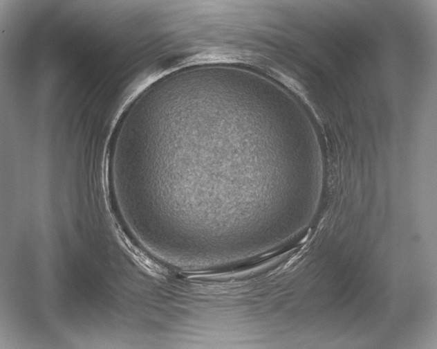 X0000059091179200510101136