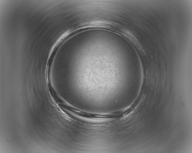 X0000059091180200510101136