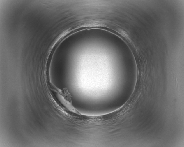 X0000059091181200510101136