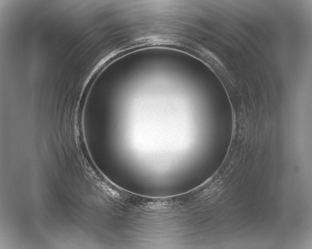 X0000059091182200510101136