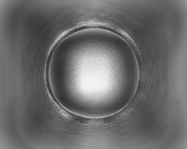 X0000059091183200510101136