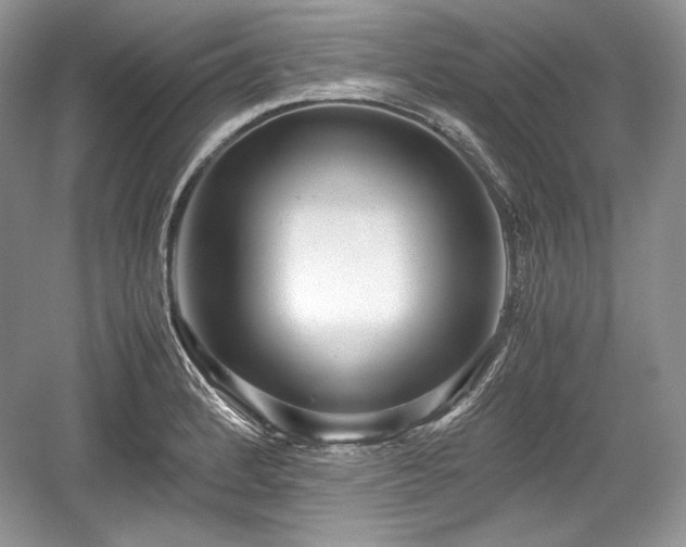 X0000059091184200510101136