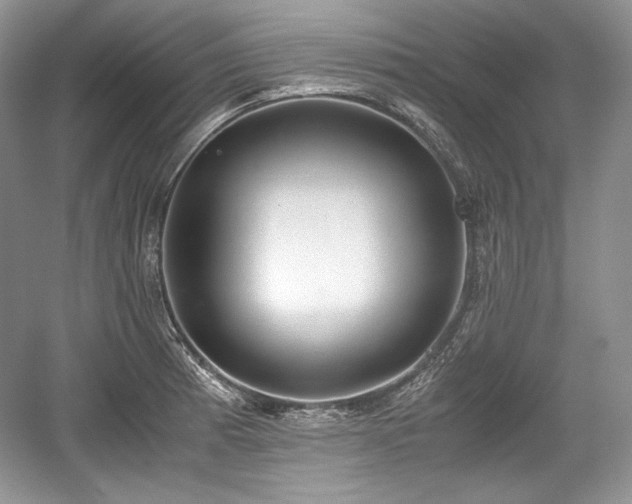 X0000059091185200510101136