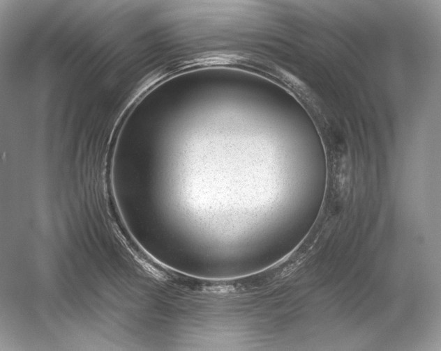 X0000059091186200510101136