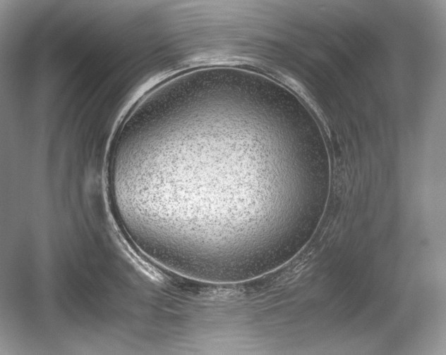 X0000059091187200510101136