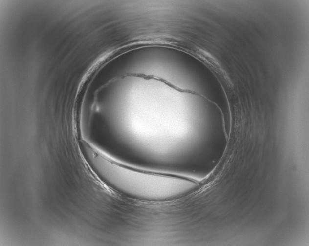 X0000059091188200510101136