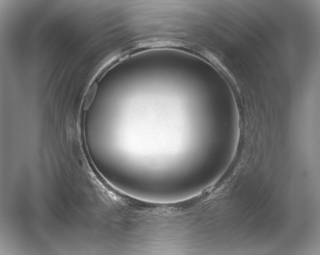 X0000059091189200510101136