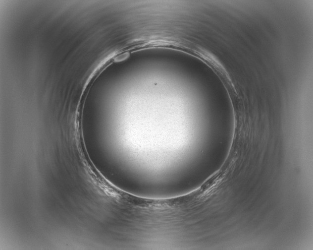 X0000059091190200510101136