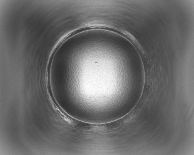 X0000059091191200510101136