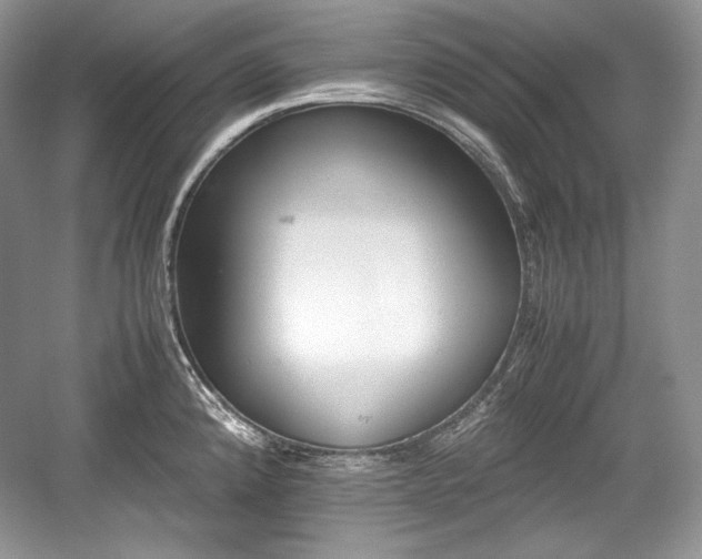 X0000059091192200510101136