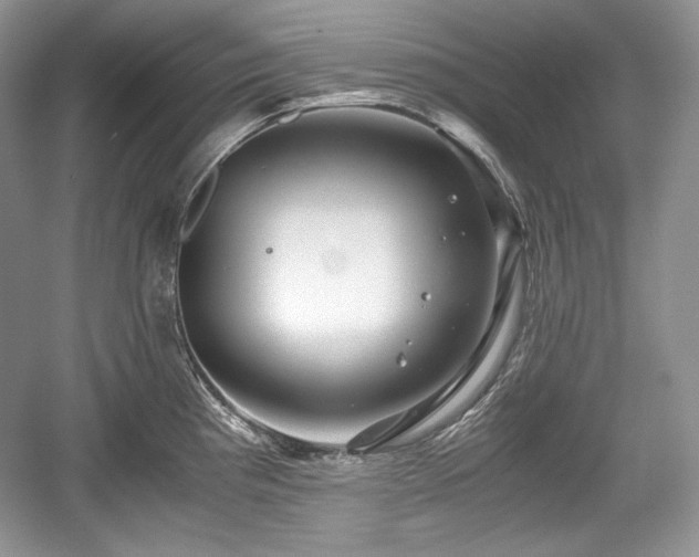 X0000059091193200510101136