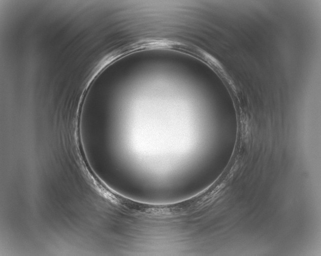 X0000059091194200510101136