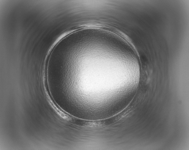 X0000059091195200510101136