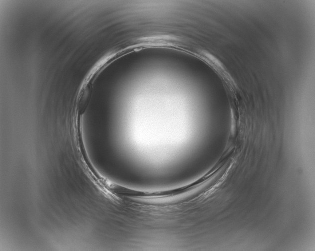 X0000059091196200510101136