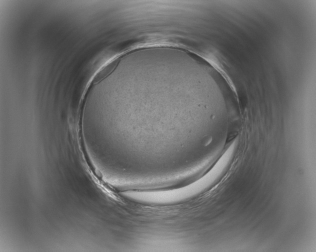 X0000059091197200510101136