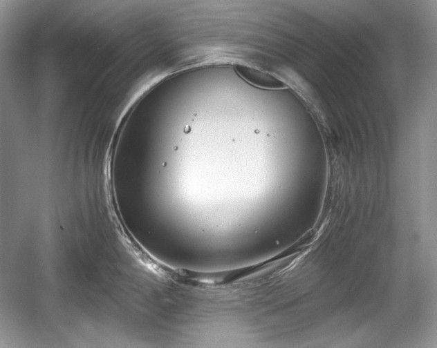 X0000059091198200510101136