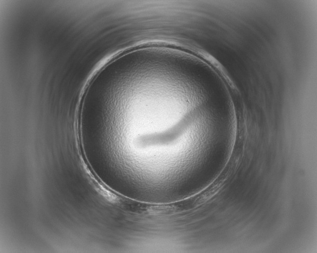 X0000059091199200510101136