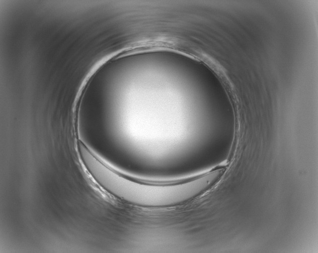 X0000059091200200510101136