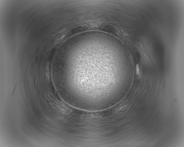 X0000059091203200510101135