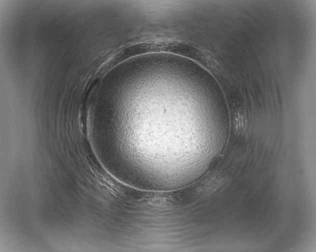 X0000059091204200510101135