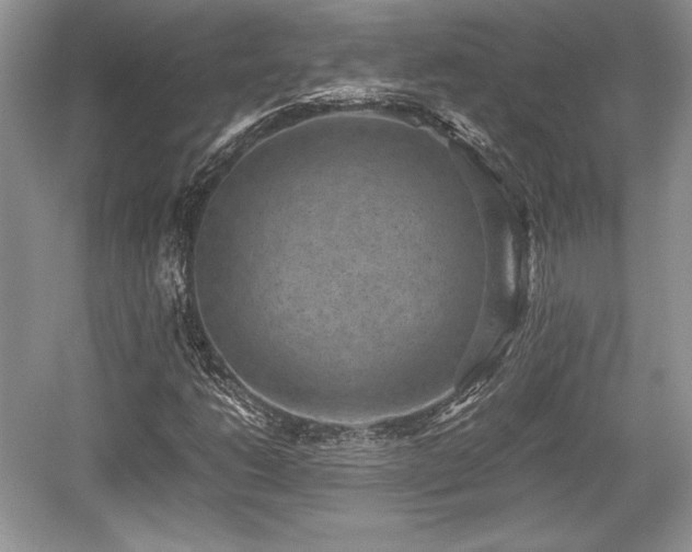 X0000059091206200510101135