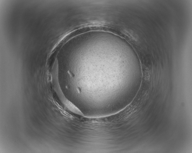 X0000059091208200510101135