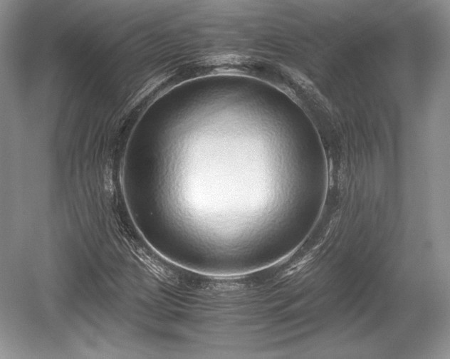 X0000059091209200510101135