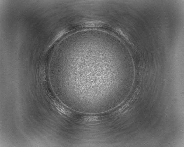 X0000059091211200510101135