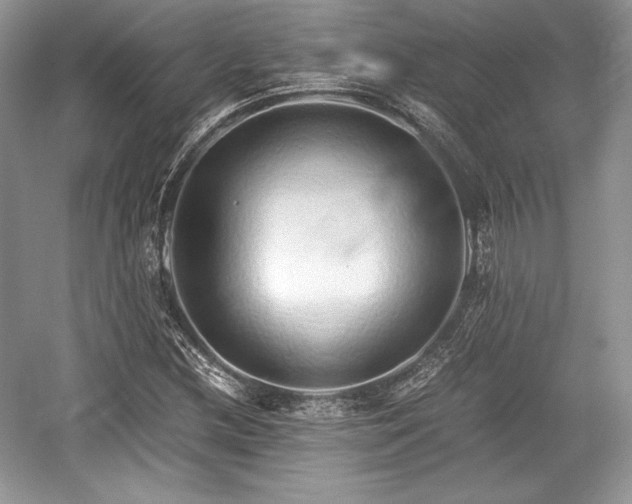 X0000059091212200510101135