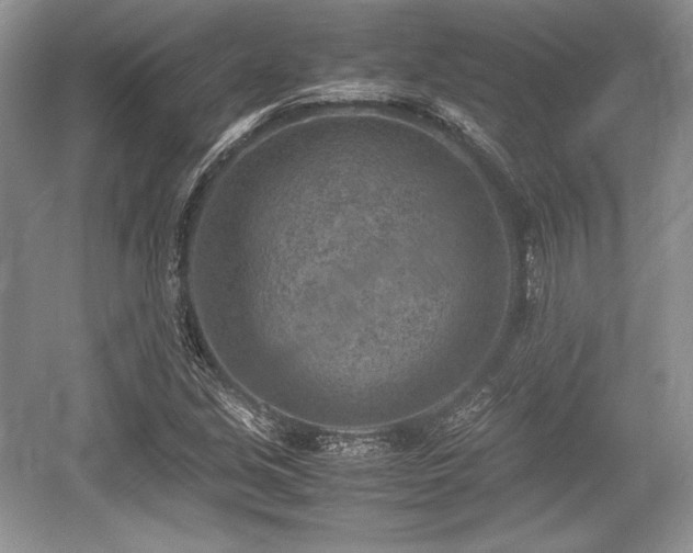 X0000059091213200510101135