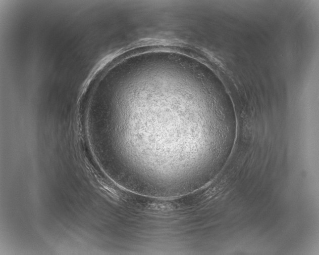 X0000059091215200510101136