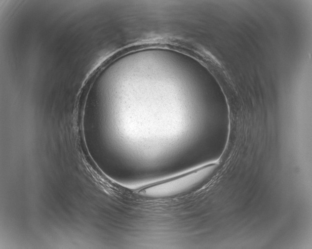 X0000059091216200510101136