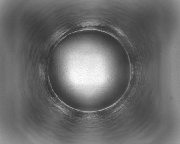 X0000059091217200510101136